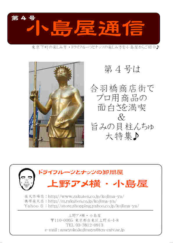 小島屋通信サムネイル