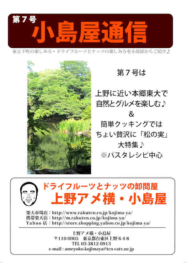 小島屋通信サムネイル