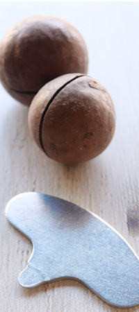 殻付きマカダミアナッツ