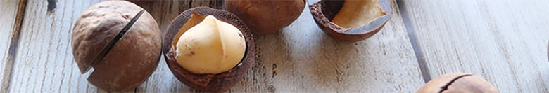 殻付きマカダミアナッツ（割り器付き）