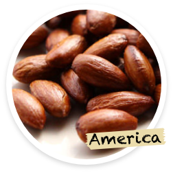 America