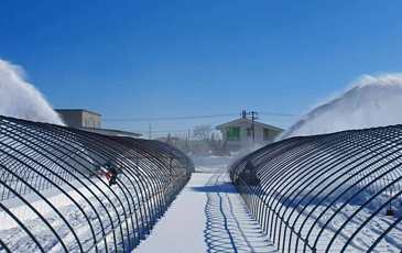 “北海道ならでは、雪深い農場”