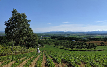 “北海道らしい広大な園地”