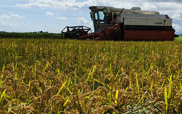 “鵜野さんの作るお米はコメ1グランプリで入賞経験アリ”