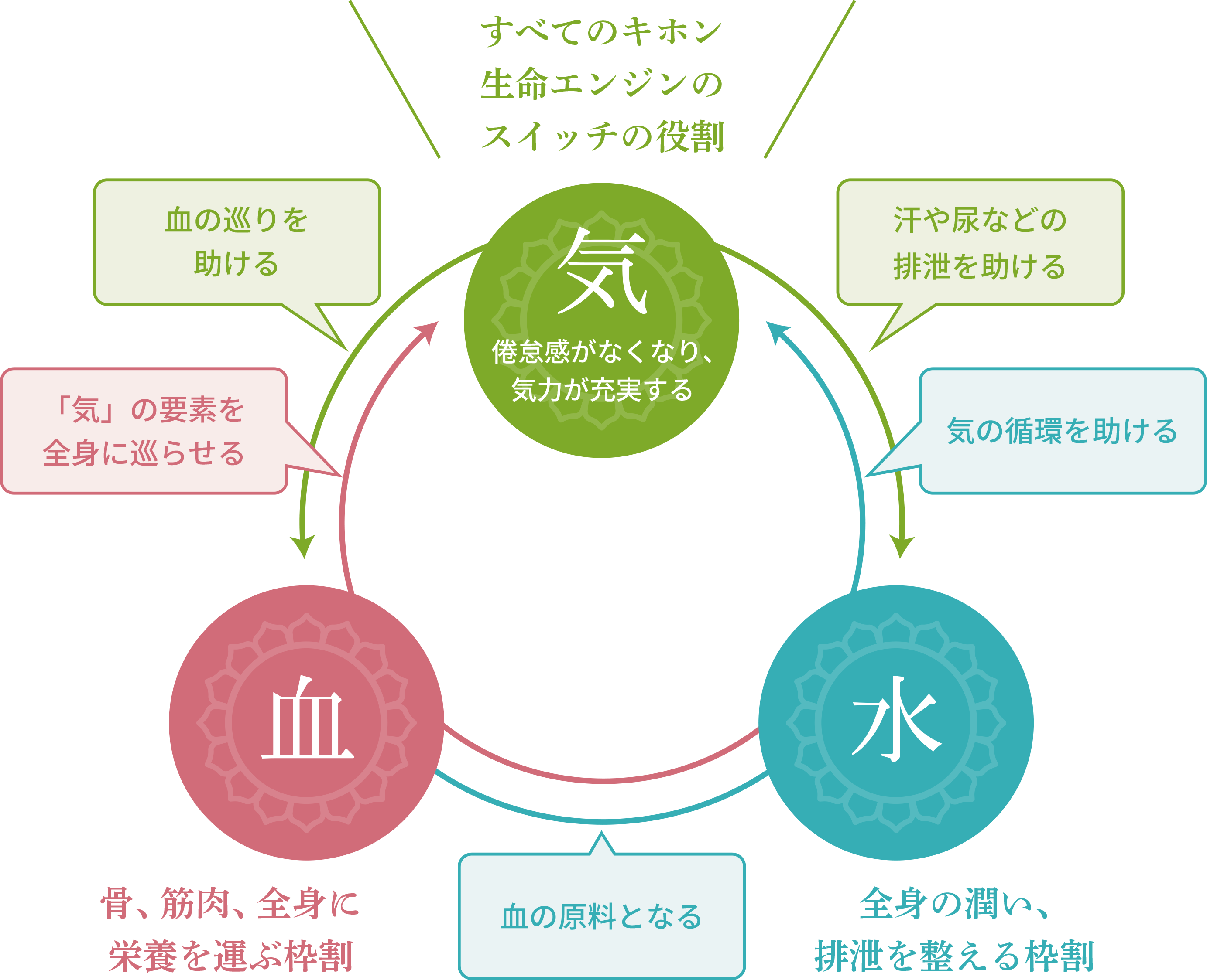 すべてのキホン 生命のエンジンのスイッチの役割