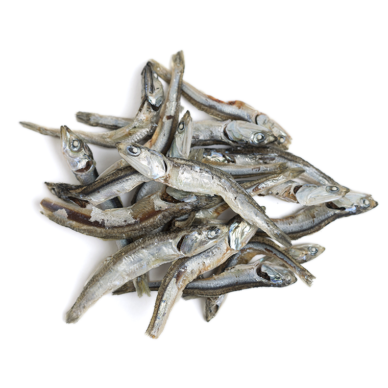 小魚(カタクチイワシ)