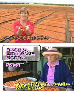 南アフリカ