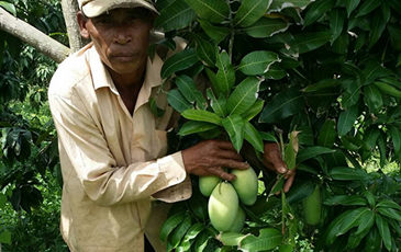 Keo Romeat（ケオロミート）