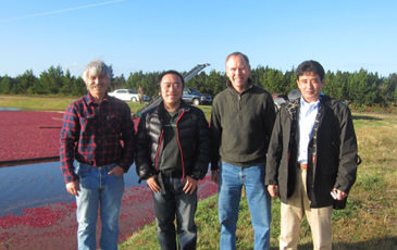 クランベリー会社