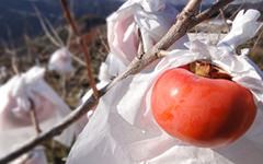奈良県のメーカー