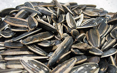 まだ殻がついた状態