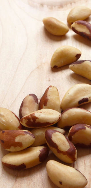 ブラジルナッツ