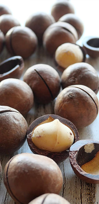 マカダミアナッツ