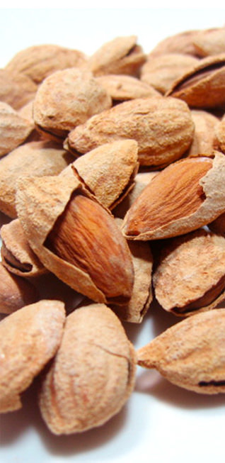 殻付アーモンド