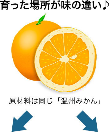 育った場所が味の違い