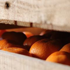 匠の技が光る「貯蔵」