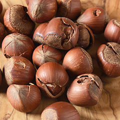 ヘーゼルナッツ［トルコ産］