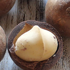 殻付マカダミア（殻割り器付き）