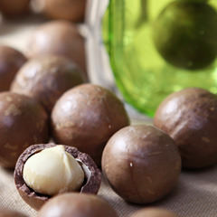 殻付マカダミアナッツ