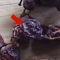 マラガ・枝付レーズン