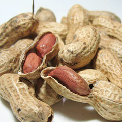 殻付き落花生 半立［千葉産］