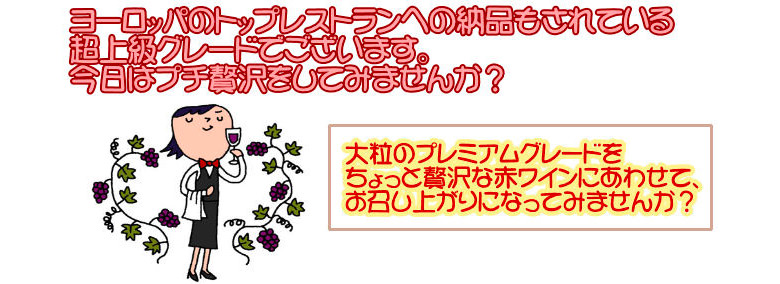 プレミアムドライいちじく