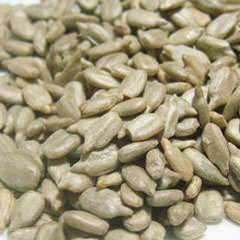 素焼きひまわりの種　200g