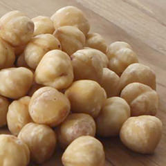 素焼き 剥き身ヘーゼルナッツ［トルコ産］