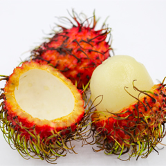 生のランブータン