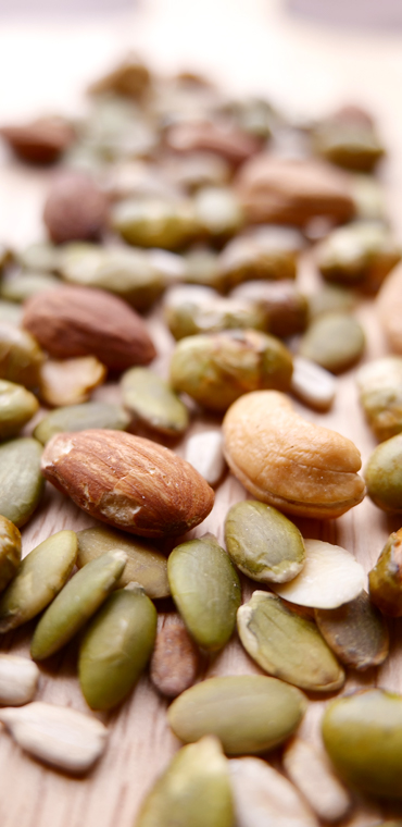 たんぱくしっつ