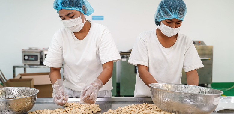 カンボジア産カシューナッツ