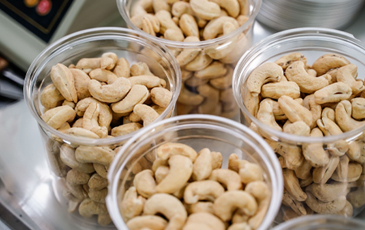 “衛生環境は日本の企業が指導しています”