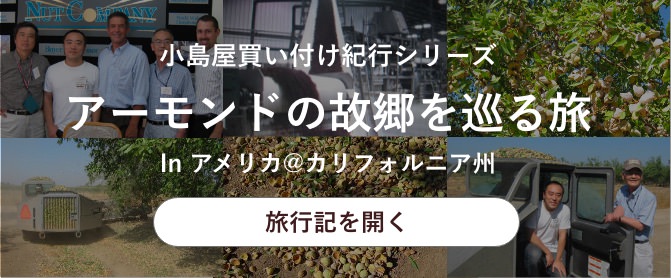 アーモンドの故郷を巡る旅
