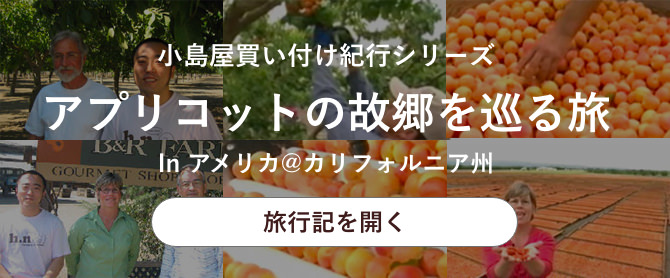 アプリコットの故郷を巡る旅