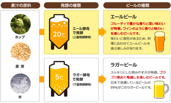 エールビールとラガービール