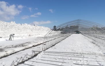 “この雪深い場所で雪干しほしいもは作られています”