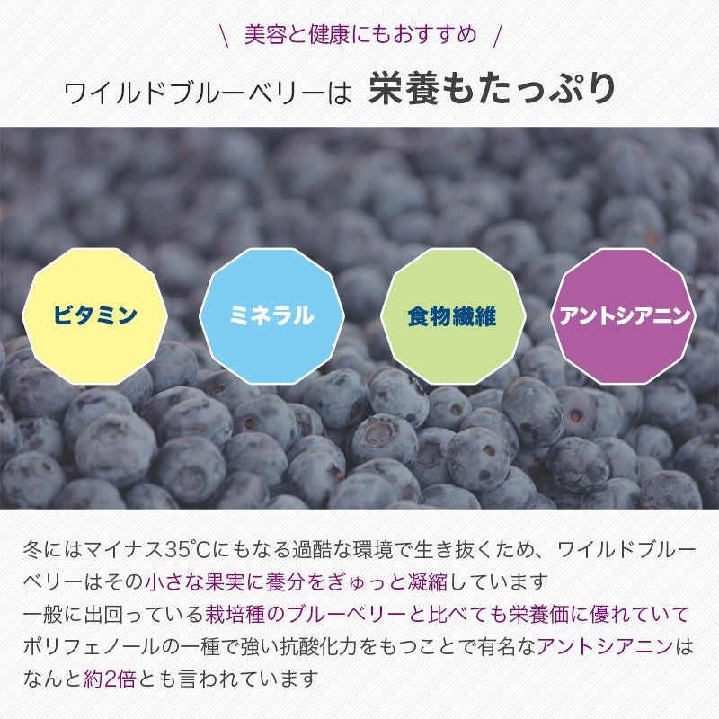 ★ノンオイル★　ワイルドブルーベリー（野生種）《500g》
