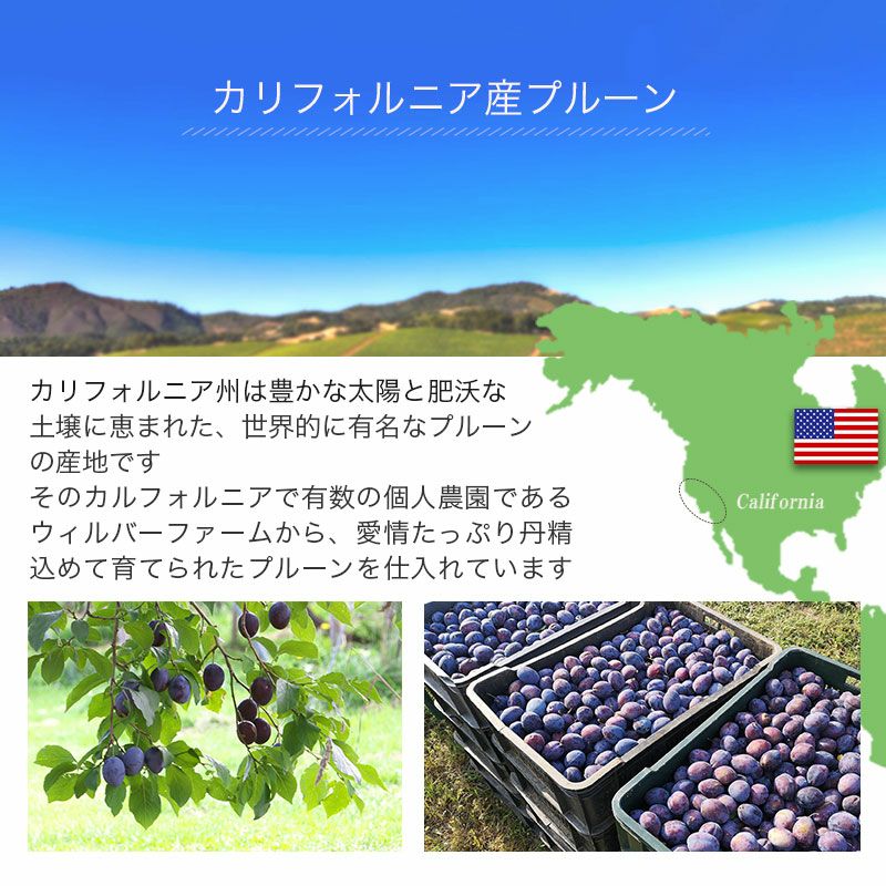 ドライプルーン・カルフォルニア産お徳用1kgの通販|ドライフルーツの小島屋