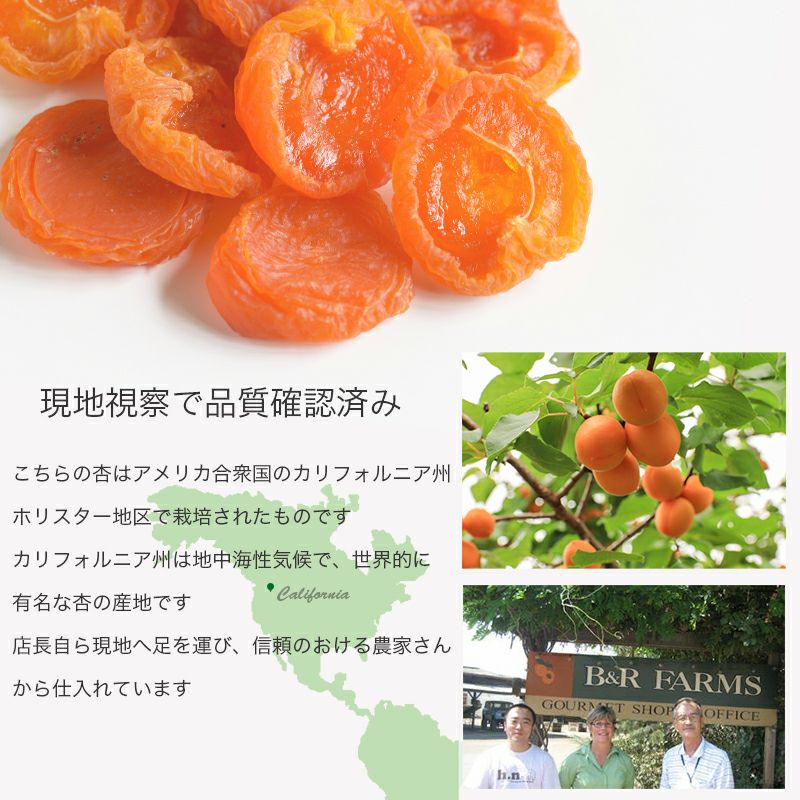 A国産干し杏#010ドライフルーツ　ドライアプリコット　玉井フルーツ ジャンボアプリコット・杏 ドライフルーツ(アメリカ産)の通販｜ドライ