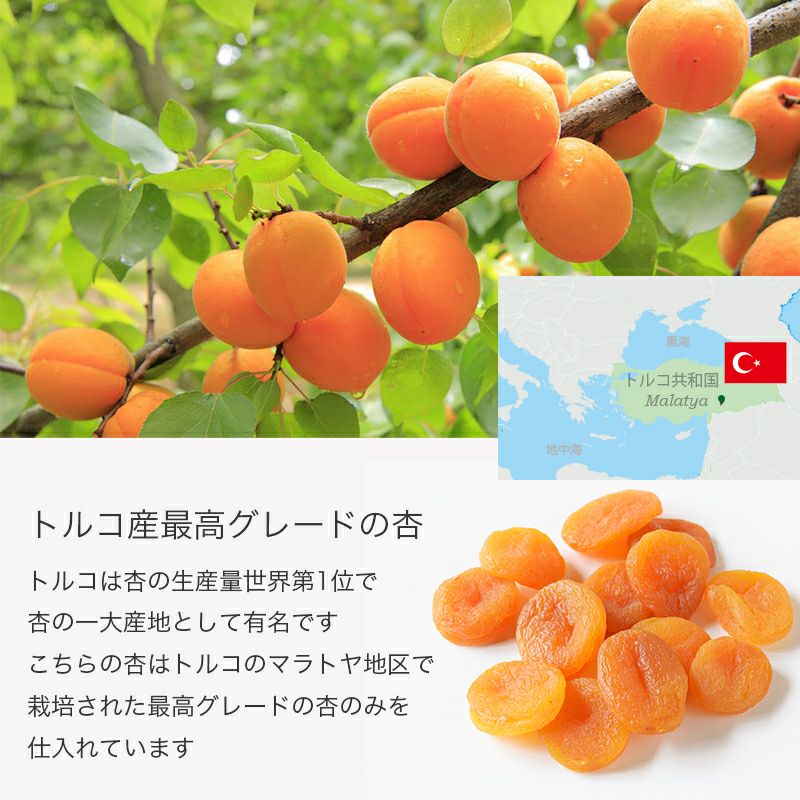トルコ産アプリコット ドライフルーツの通販専門店小島屋