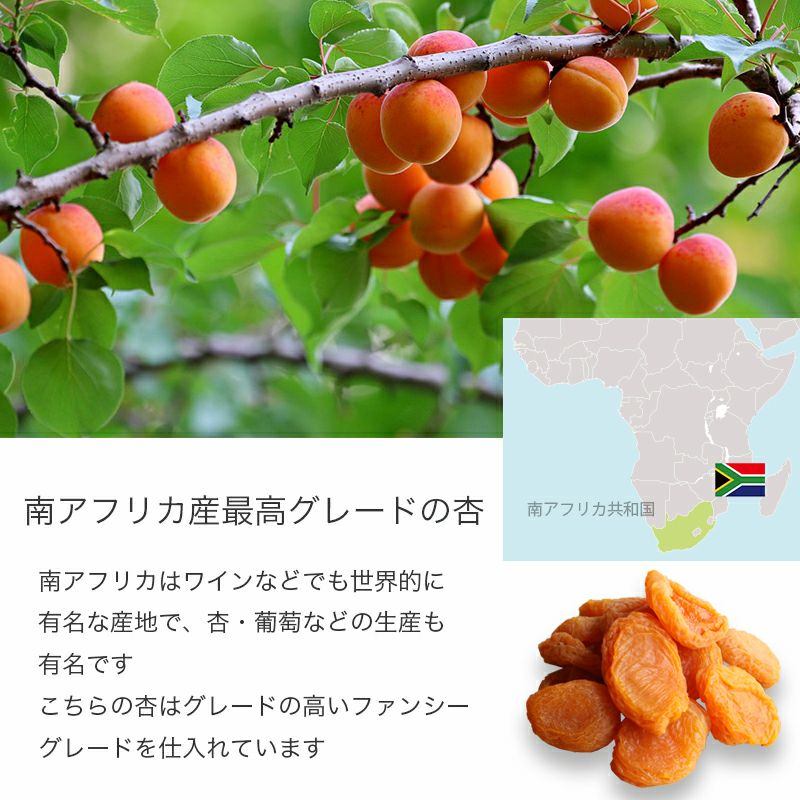 干しあんず・南アフリカ産ドライアプリコットの通販｜小島屋