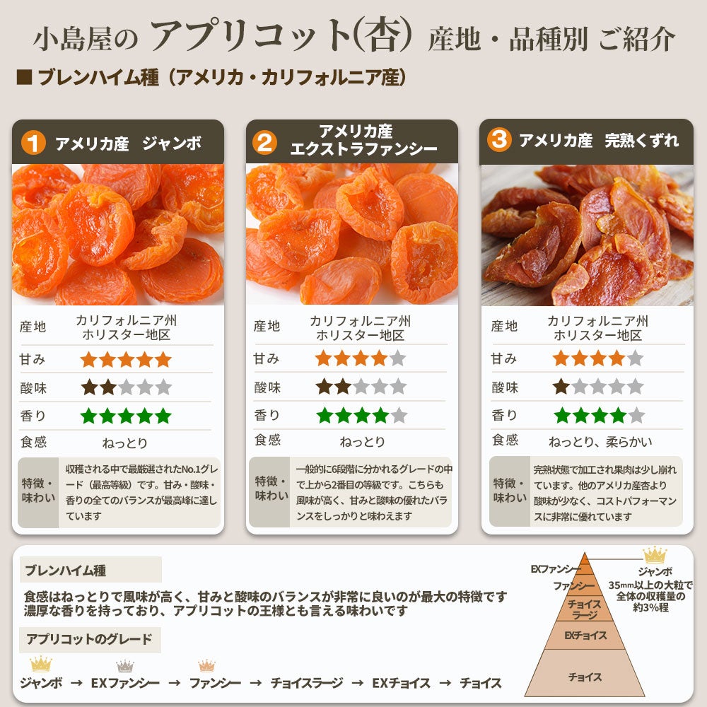 干しあんず・南アフリカ産ドライアプリコットの通販｜小島屋
