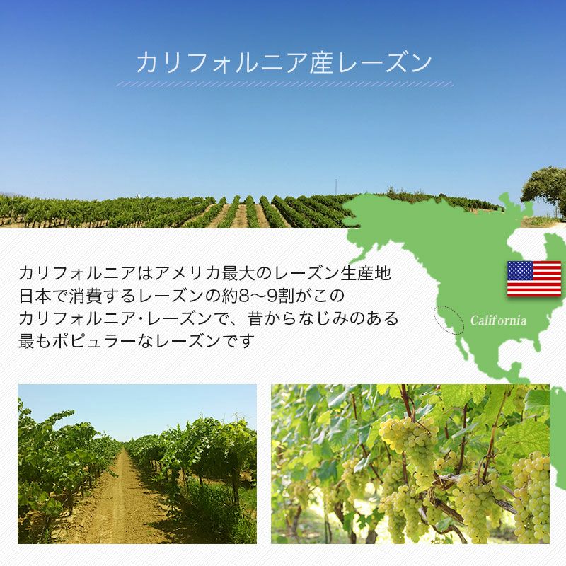 カリフォルニアレーズン・オイル不使用お徳用1kg通販|ドライフルーツ小島屋