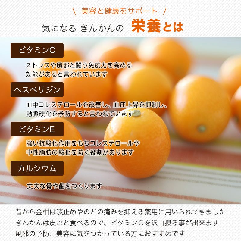 ドライきんかん・金柑お徳用1kgの通販｜ドライフルーツの専門店小島屋