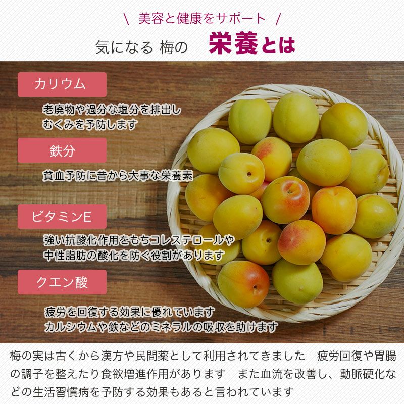 話梅・大粒お徳用大袋の通販|ドライフルーツの専門店小島屋