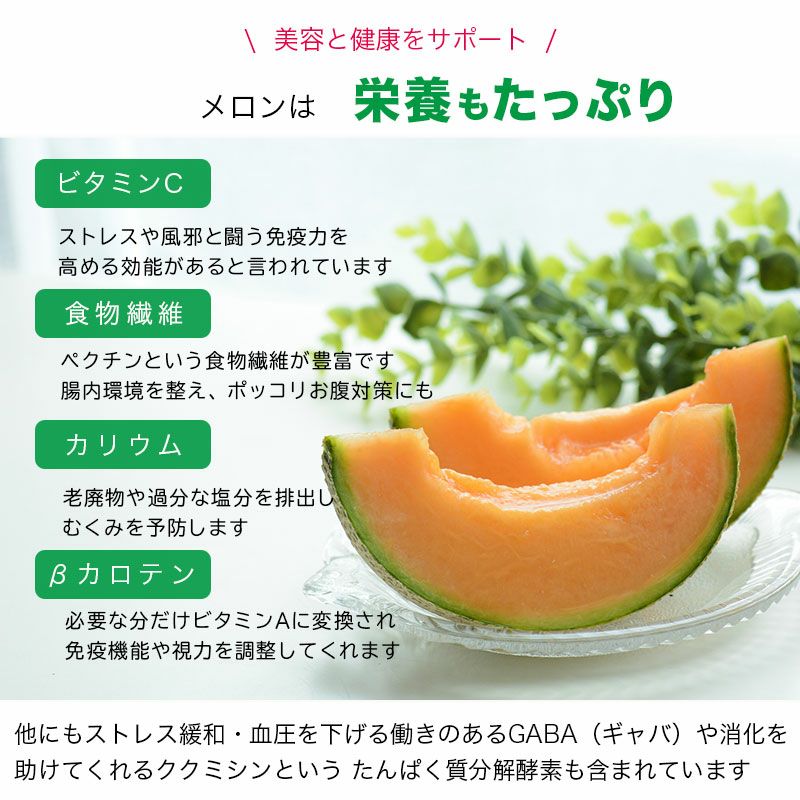 ドライメロンのお試し通販|ドライフルーツの専門店小島屋
