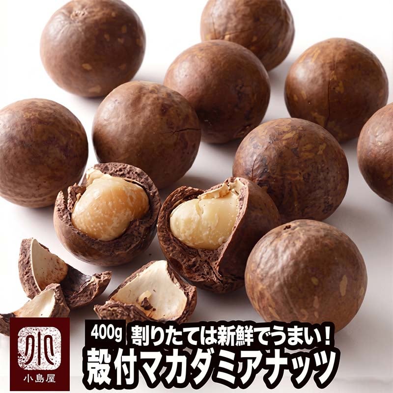 殻付ローストマカダミアナッツ 《400g》