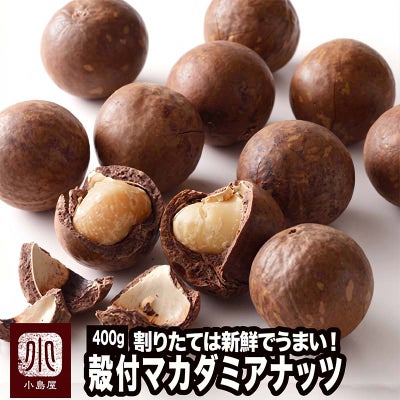 殻付ローストマカダミアナッツ 《400g》