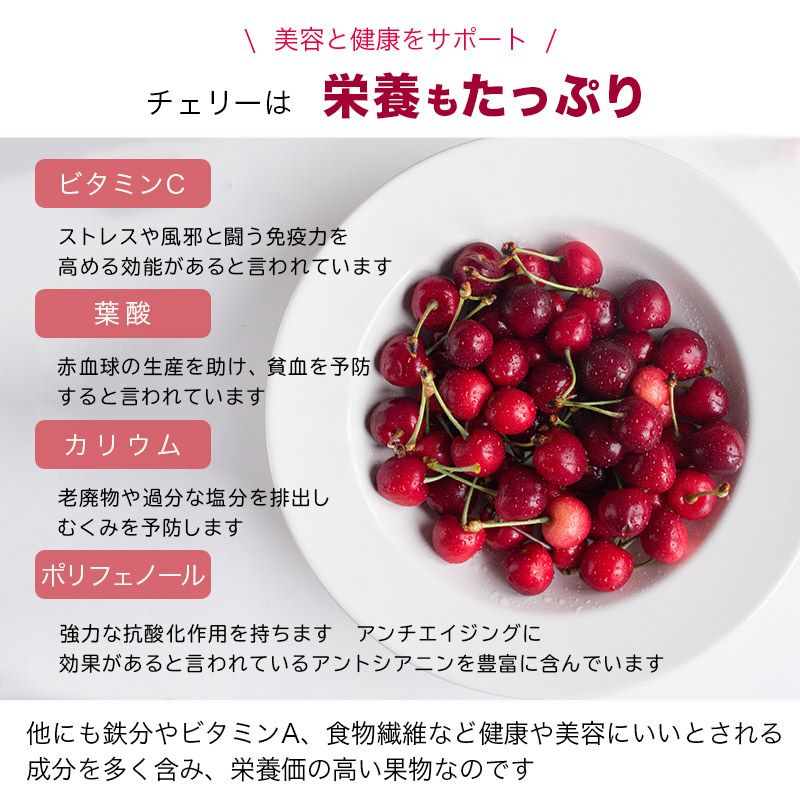 ドライチェリー・タートチェリーのお得な大袋通販｜ドライフルーツ専門