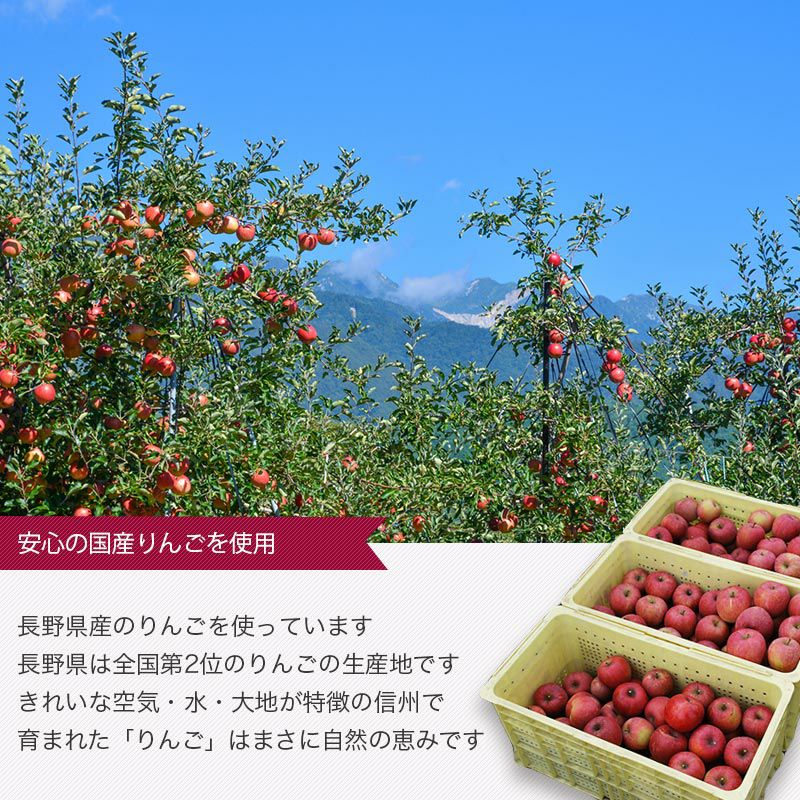 シナモン林檎《220g》［日本産］